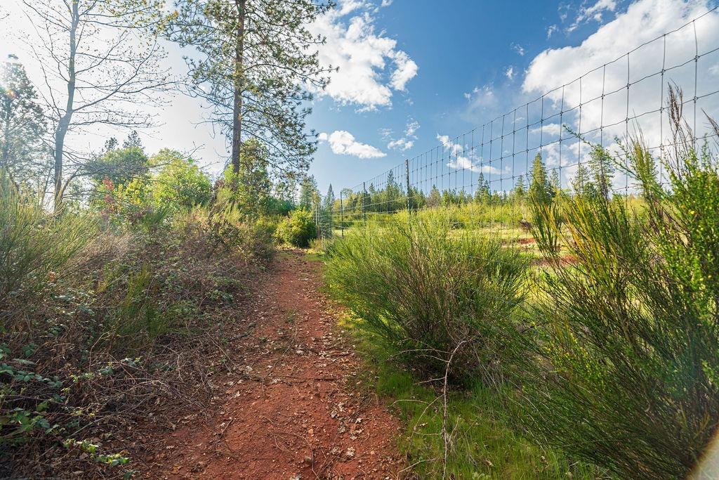 10571 Sebastopol Road North San Juan, CA 95960 - Photo 24 of 49