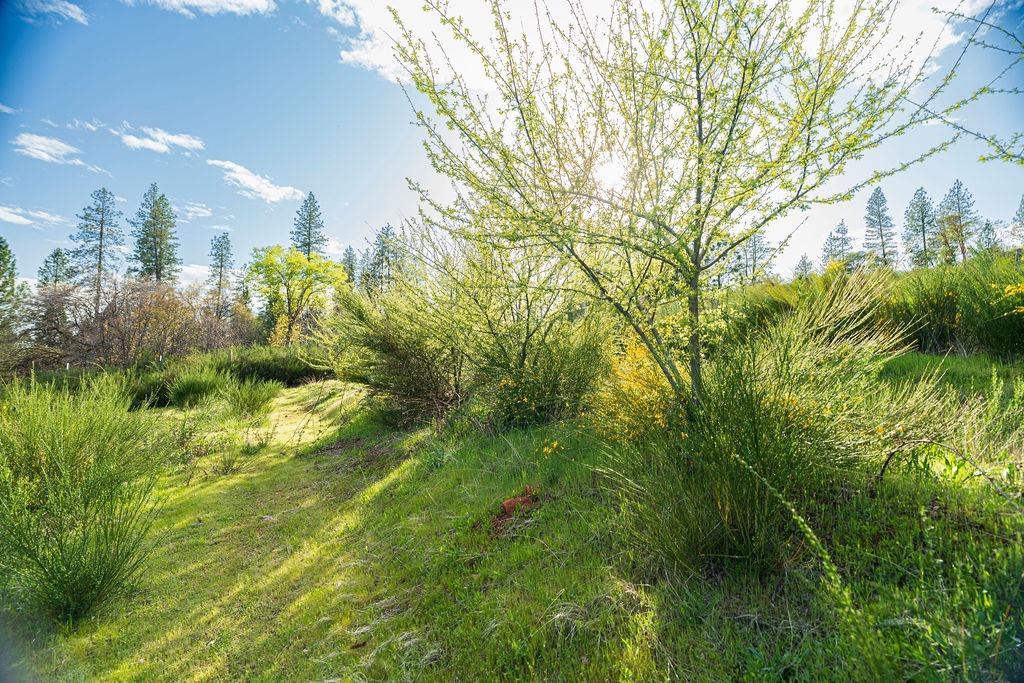 10571 Sebastopol Road North San Juan, CA 95960 - Photo 25 of 49