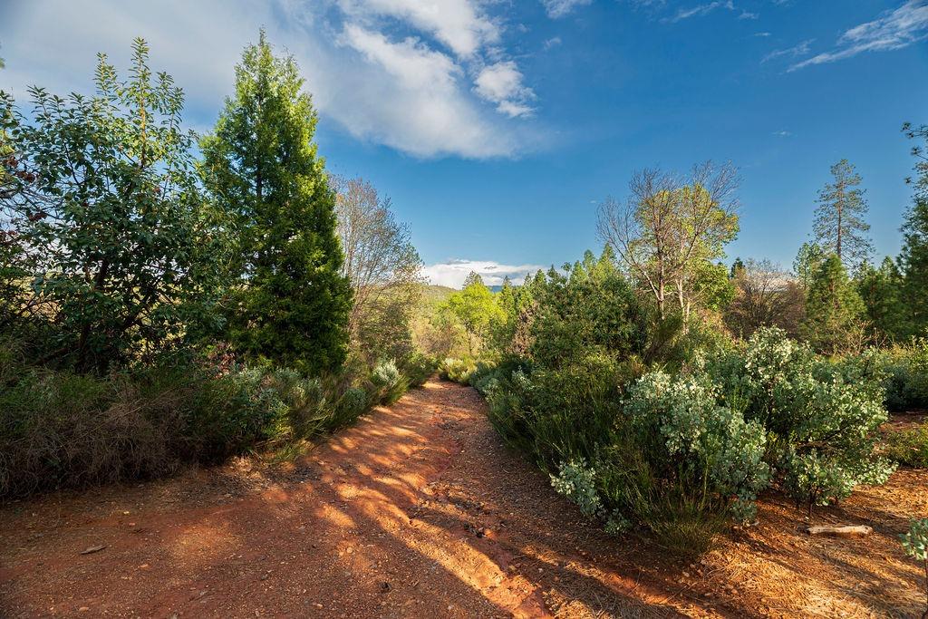 10571 Sebastopol Road North San Juan, CA 95960 - Photo 29 of 49