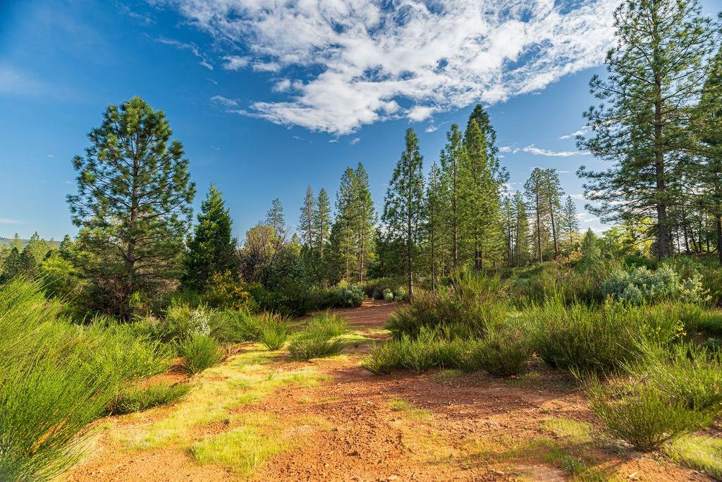 10571 Sebastopol Road North San Juan, CA 95960 - Photo 30 of 49