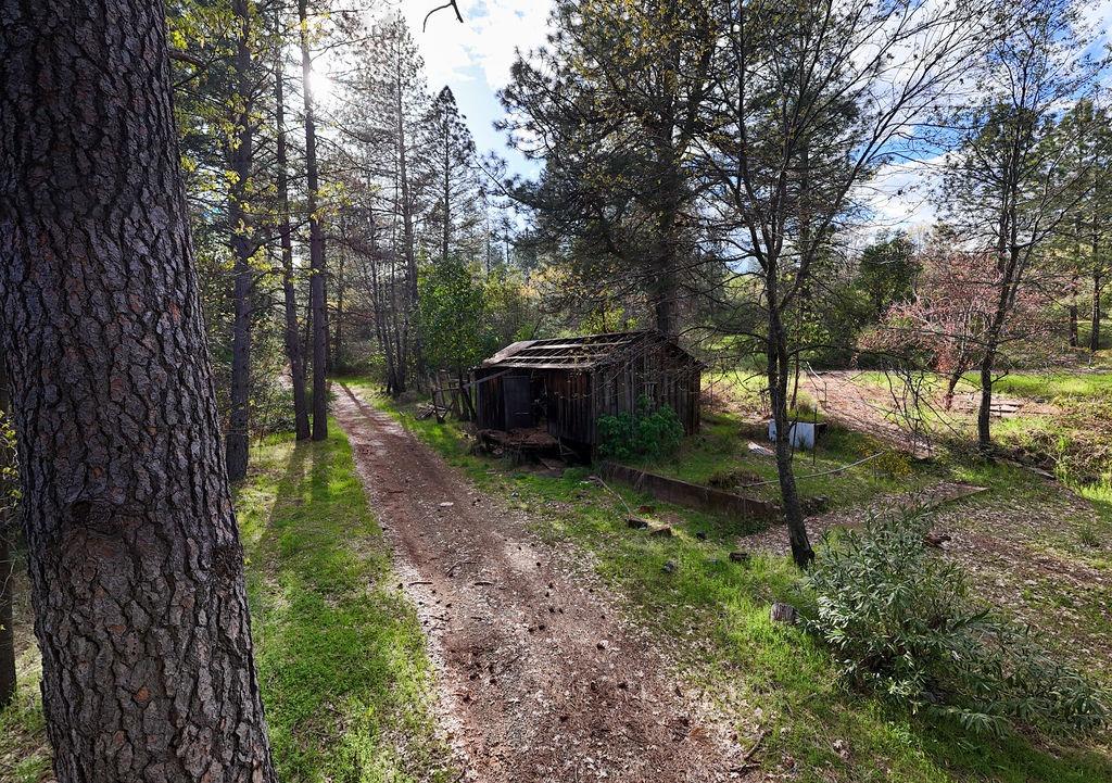 10571 Sebastopol Road North San Juan, CA 95960 - Photo 3 of 49