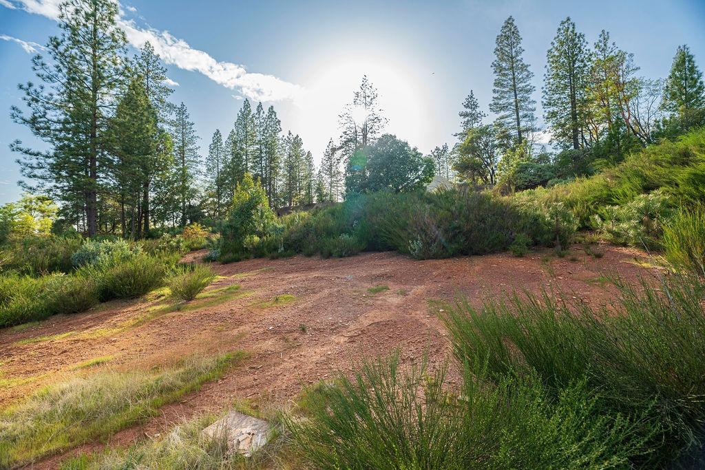 10571 Sebastopol Road North San Juan, CA 95960 - Photo 31 of 49