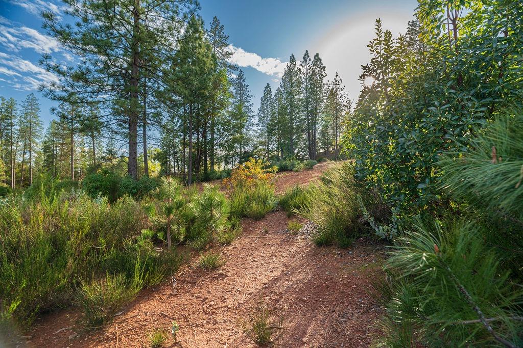 10571 Sebastopol Road North San Juan, CA 95960 - Photo 32 of 49