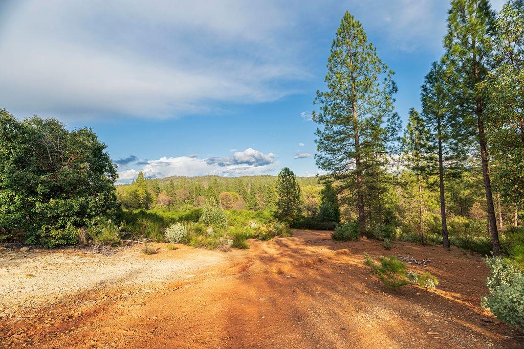 10571 Sebastopol Road North San Juan, CA 95960 - Photo 33 of 49