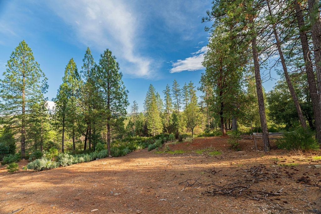 10571 Sebastopol Road North San Juan, CA 95960 - Photo 34 of 49