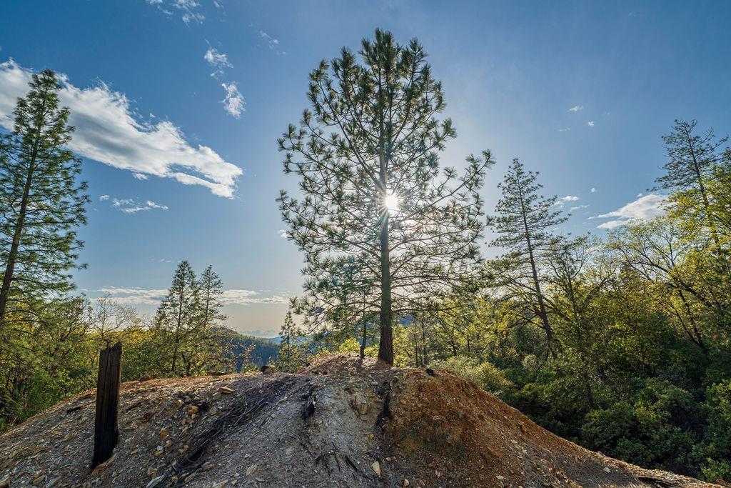 10571 Sebastopol Road North San Juan, CA 95960 - Photo 37 of 49