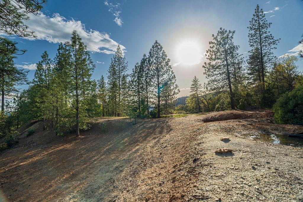 10571 Sebastopol Road North San Juan, CA 95960 - Photo 38 of 49