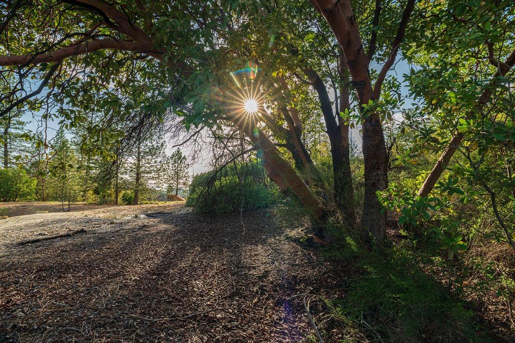 10571 Sebastopol Road North San Juan, CA 95960 - Photo 39 of 49