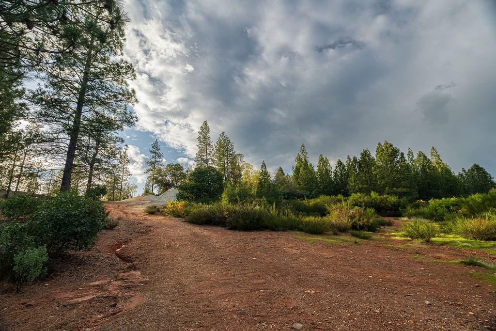 10571 Sebastopol Road North San Juan, CA 95960 - Photo 42 of 49