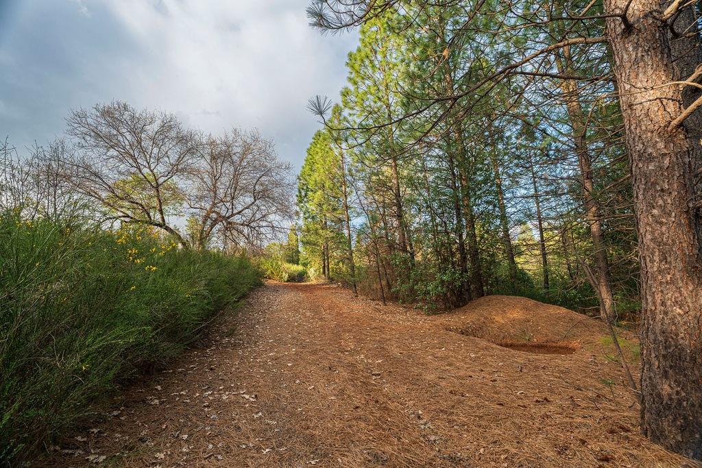 10571 Sebastopol Road North San Juan, CA 95960 - Photo 43 of 49