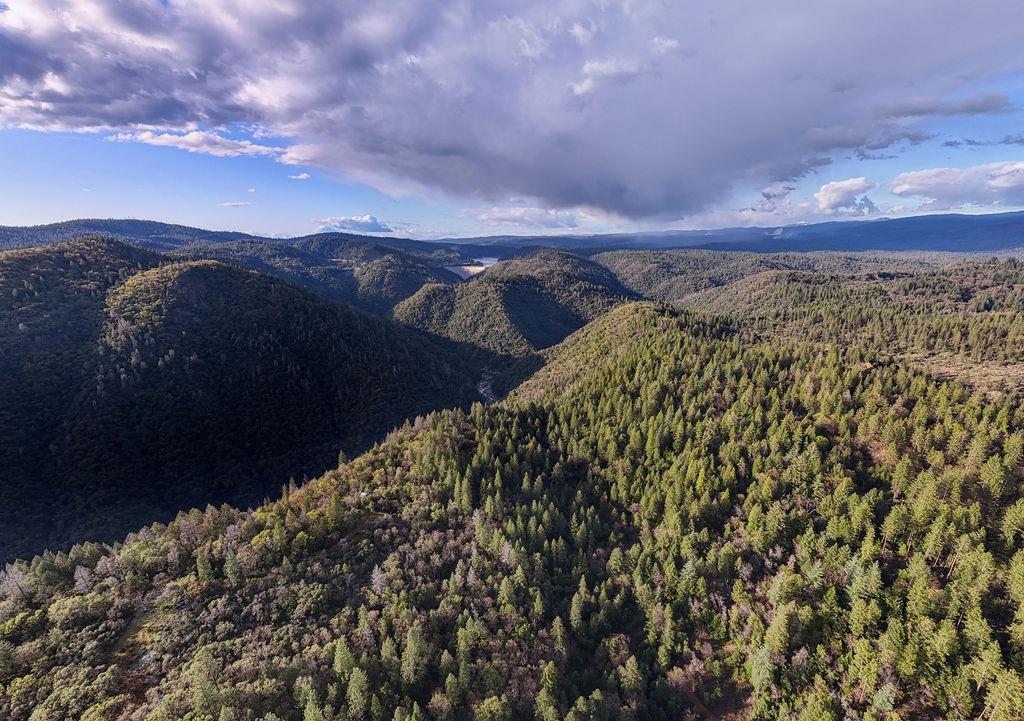 10571 Sebastopol Road North San Juan, CA 95960 - Photo 45 of 49