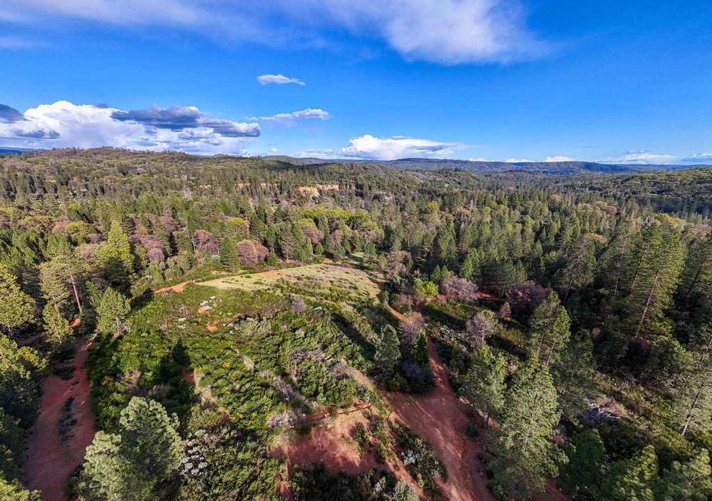 10571 Sebastopol Road North San Juan, CA 95960 - Photo 7 of 49