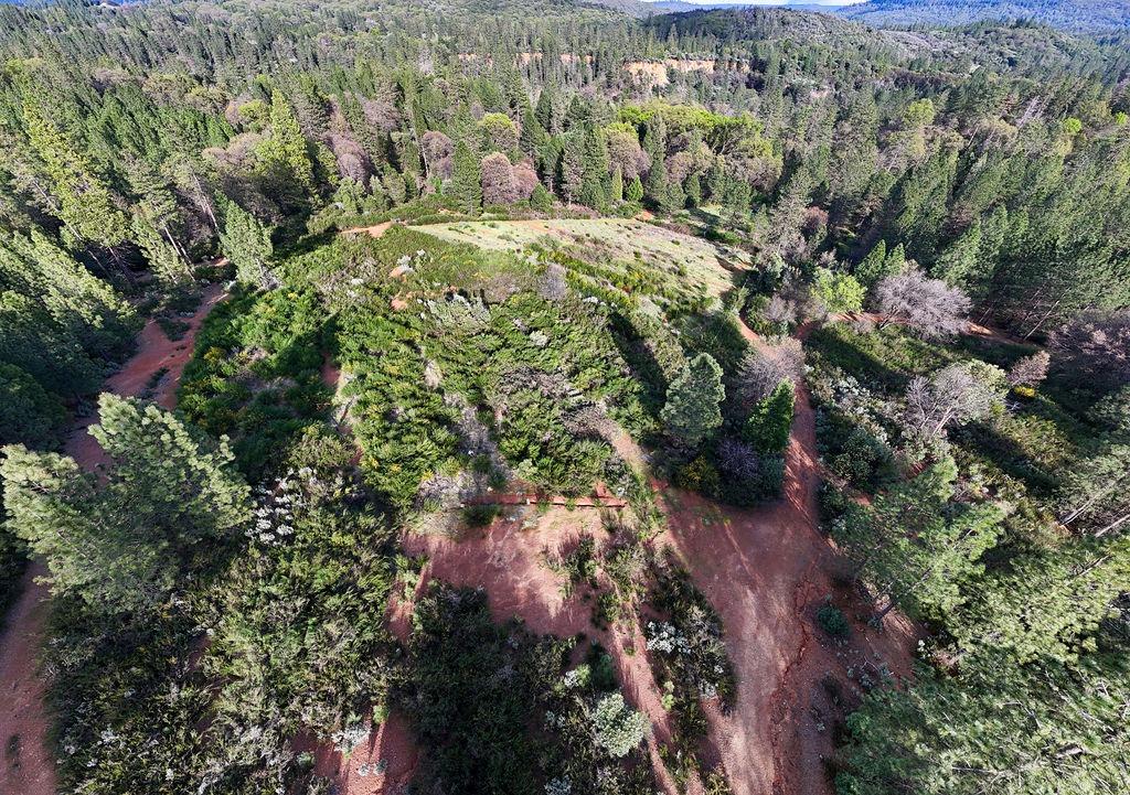 10571 Sebastopol Road North San Juan, CA 95960 - Photo 8 of 49