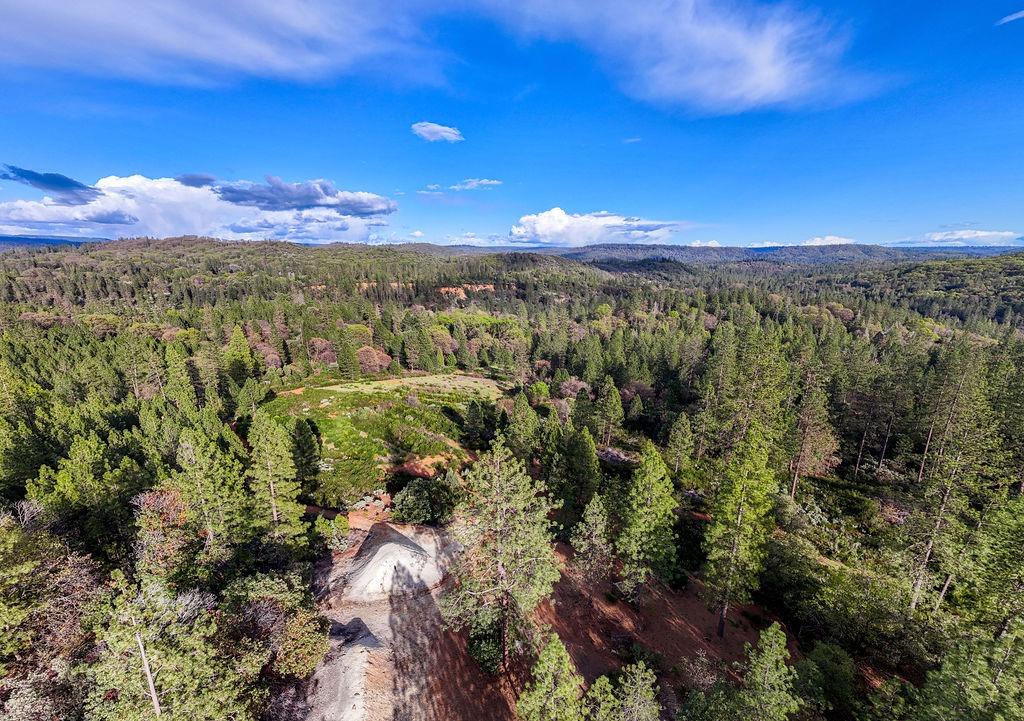 10571 Sebastopol Road North San Juan, CA 95960 - Photo 9 of 49