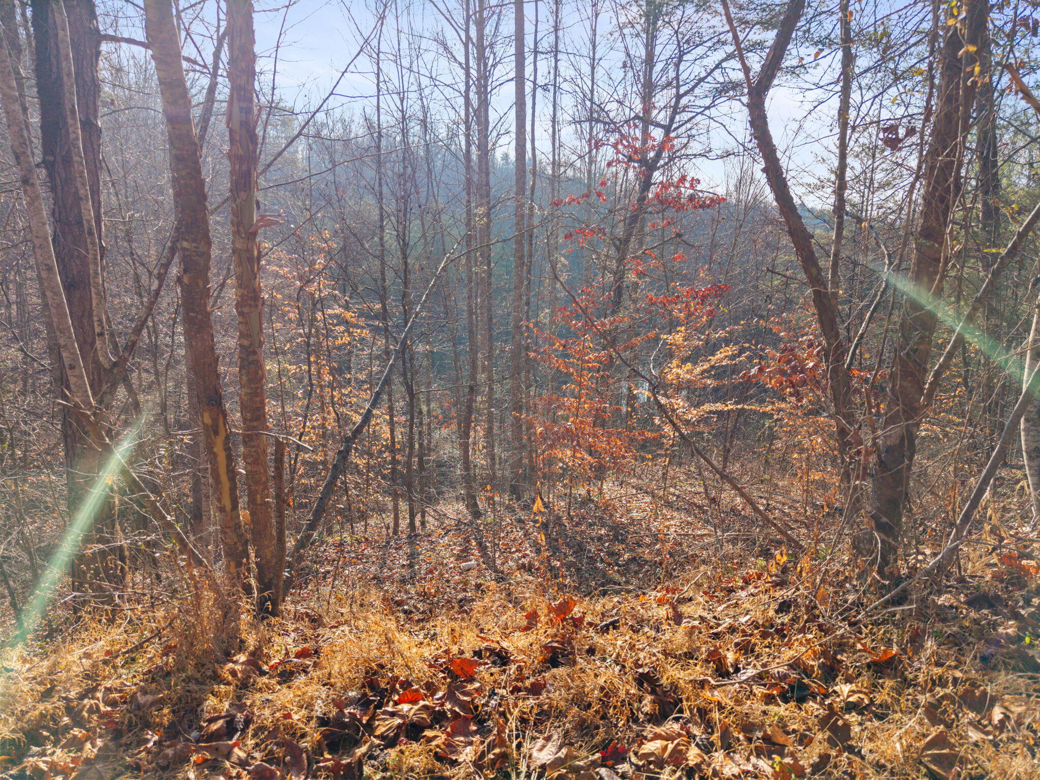 0 Marshall Road Beattyville, KY 41311 - Photo 30 of 32 27-web-or-mls-DJI_20260107104216_0107_D