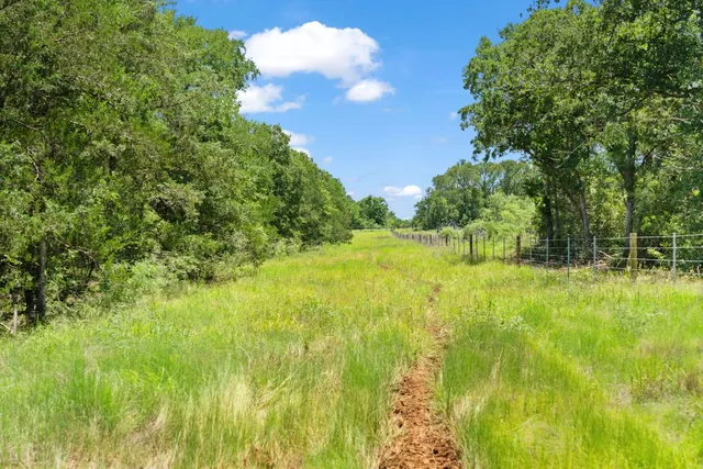 a view of yard with green space