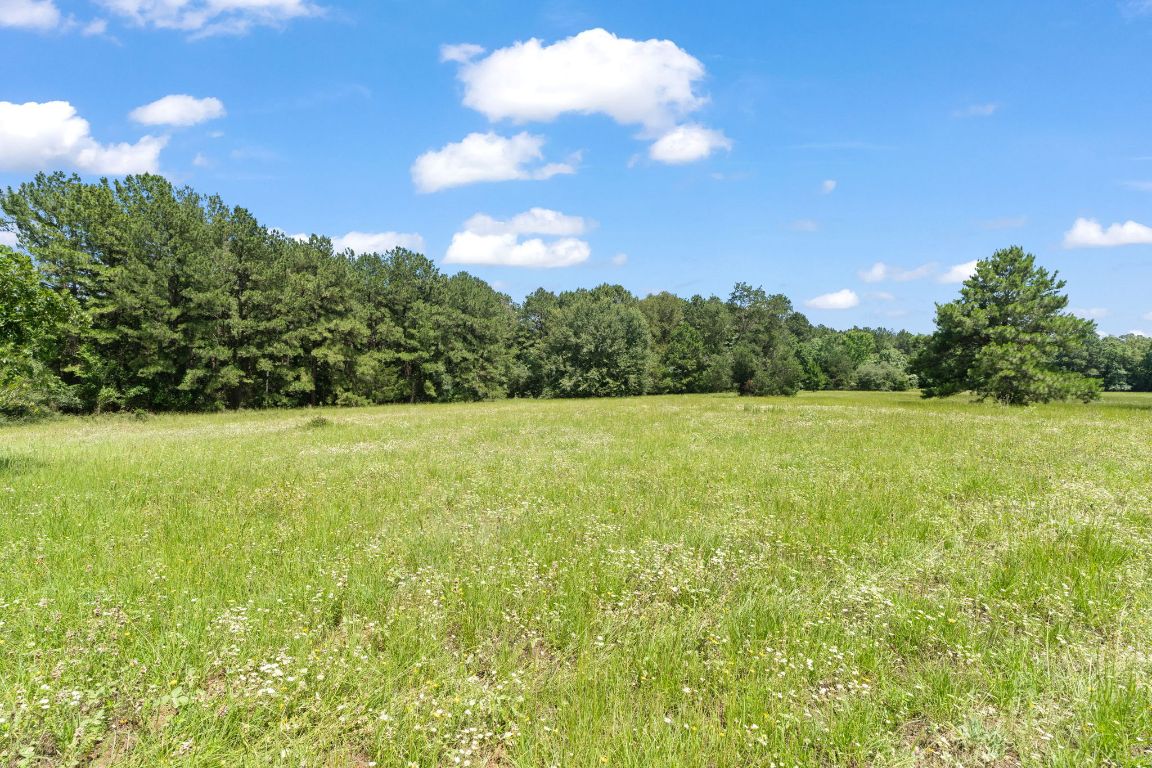 Tbd Tbd Street Paige, TX 78659 - Photo 4 of 14 View of undeveloped land with rural landscape