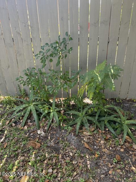 205 Noel Road Orange Park, FL 32073 - Photo 55 of 87 IMG_1715