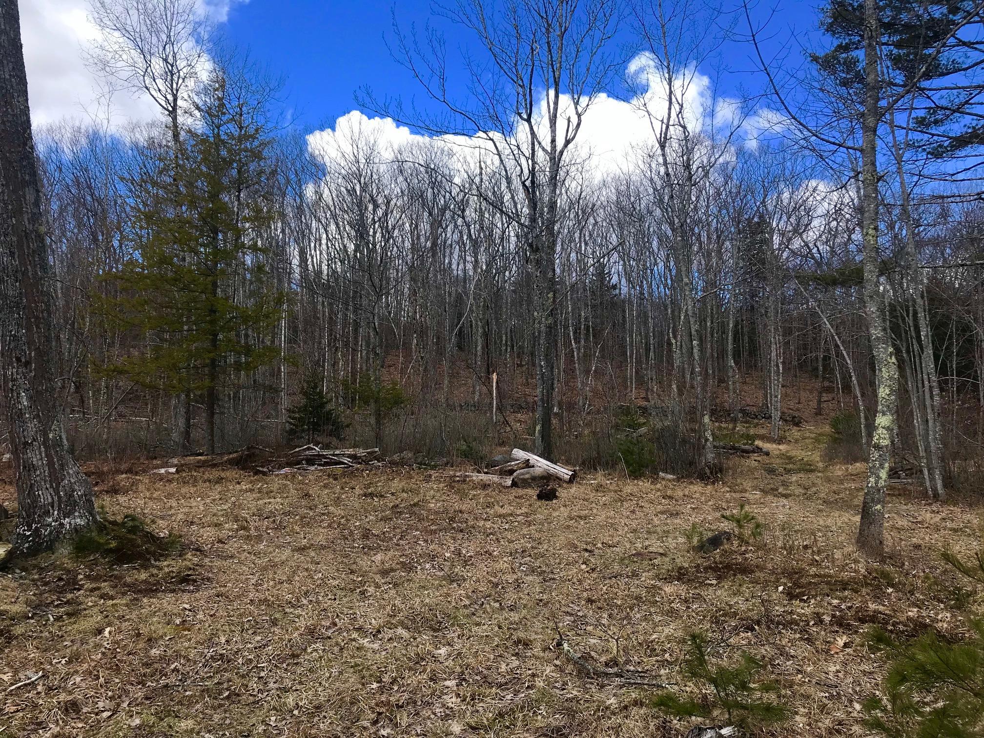 316 Howe Hill Road Camden, ME 04843 - Photo 29 of 41 IMG_5312