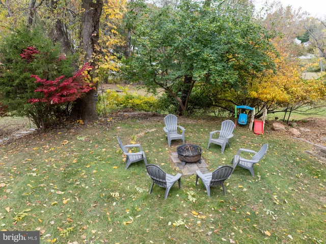 a view of a park with large trees