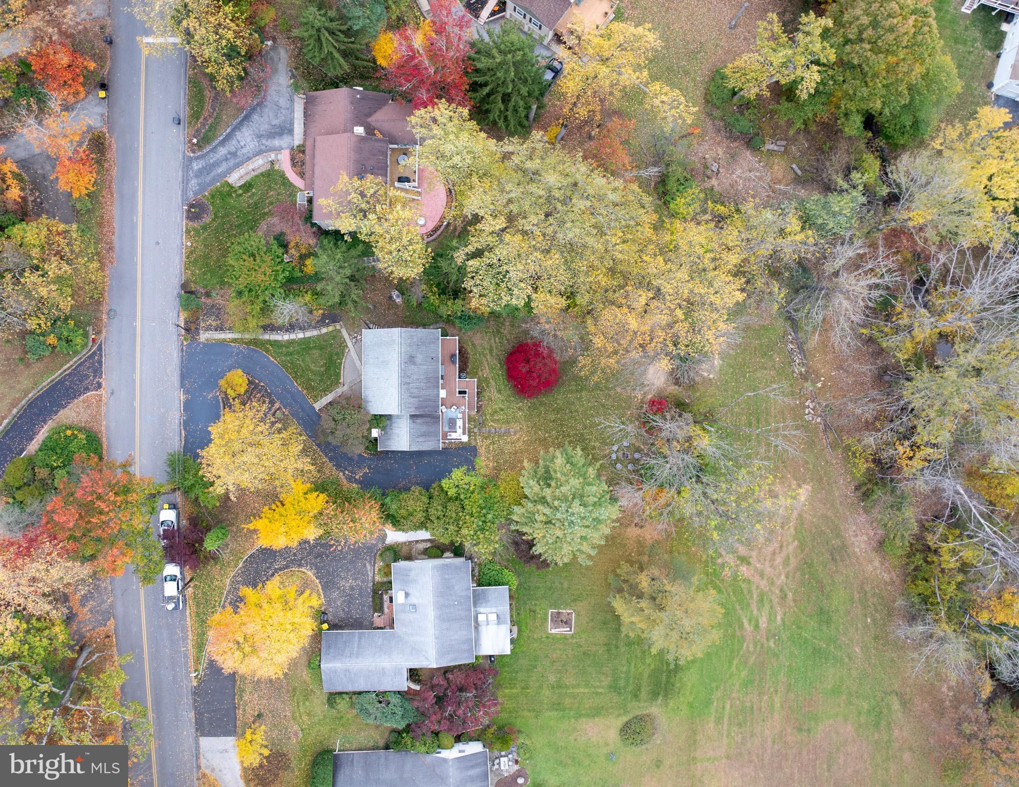 188 Arden Road Conshohocken, PA 19428 - Photo 35 of 39 a picture of flowers