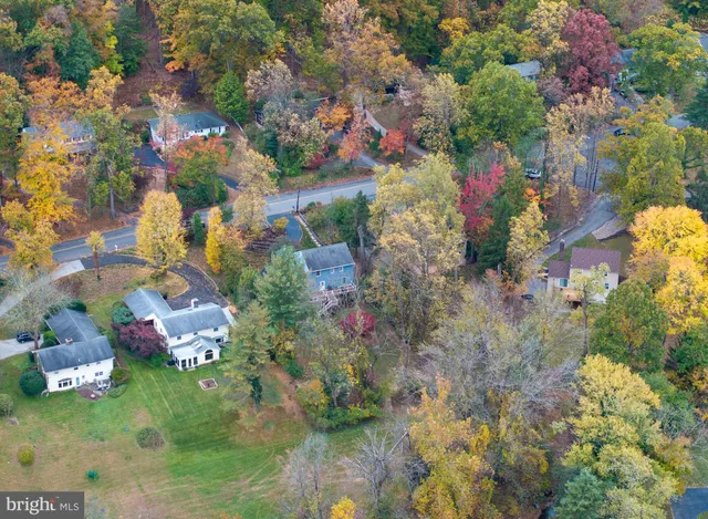 a picture of flowers