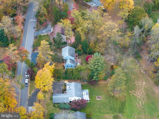 a picture of flowers