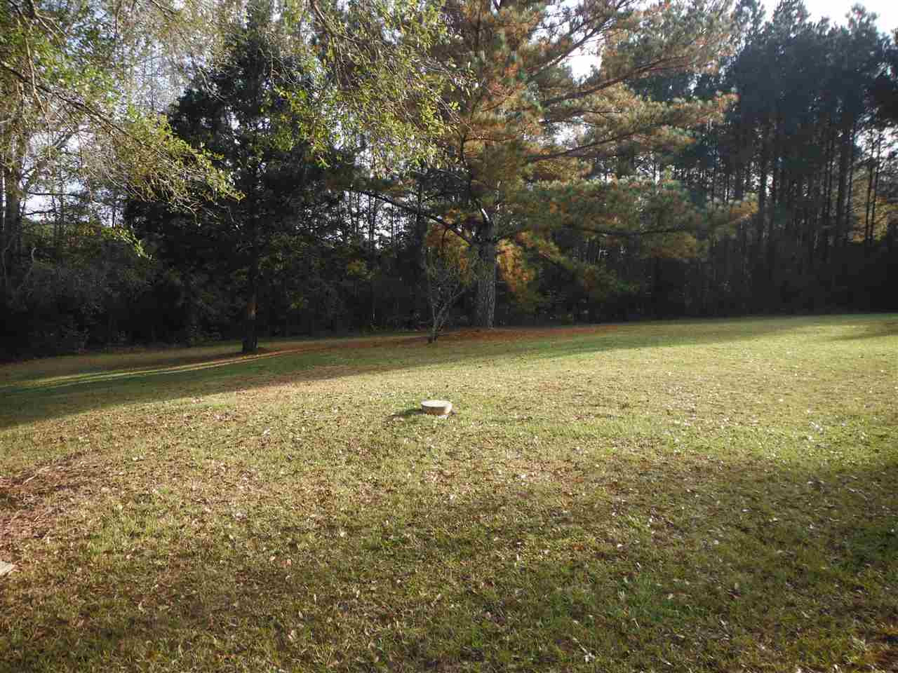 208 Tom Ward Road Lena, MS 39094 - Photo 6 of 27 Photo 6