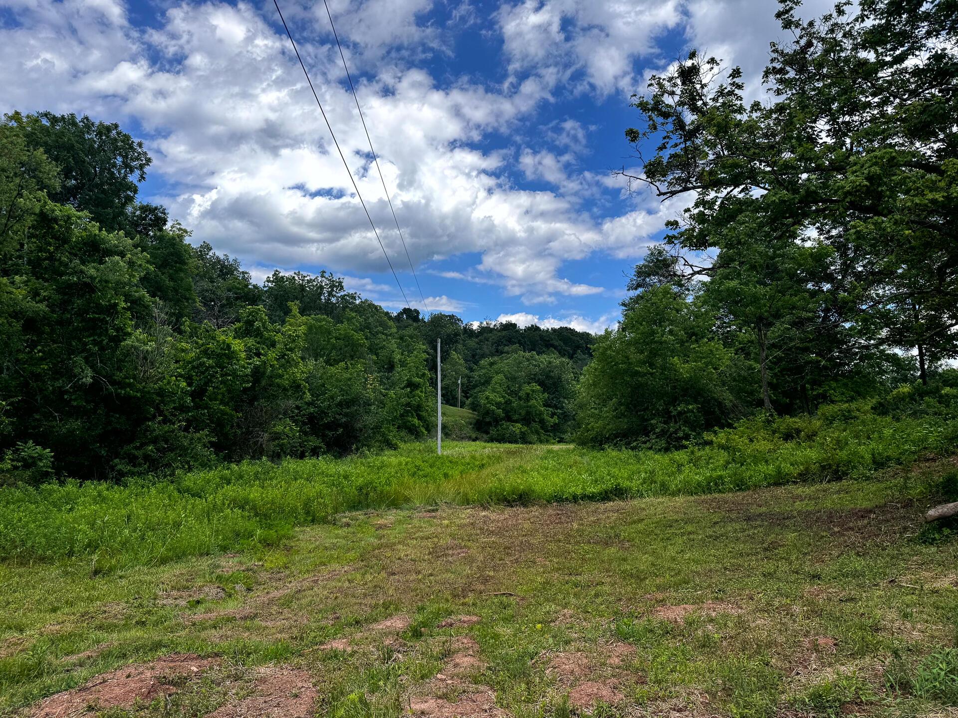 0 Barr Hollow Road, Unit OHIO RIVER RETREAT TRACT 3) Reedsville, OH 45772 - Photo 13 of 29 CT-13