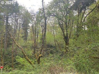 90784 Hill Road Springfield, OR 97478 - Photo 8 of 32