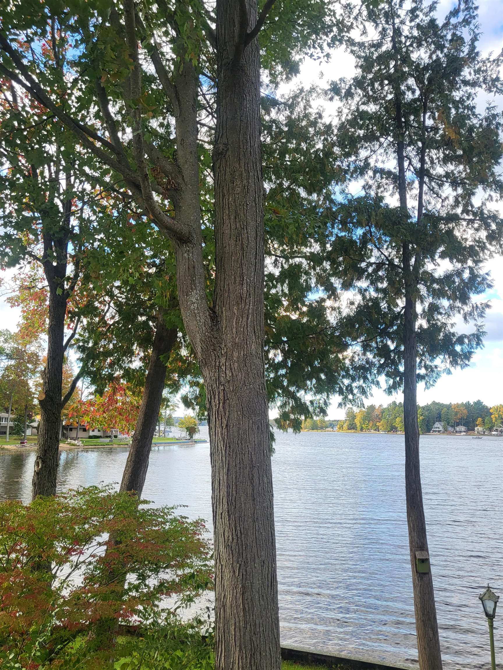 8110 Long Lake Road Hale, MI 48739 - Photo 11 of 39 1927931-2fad9826-00ec-49ea-8b4c-fa434e75894a.JPG