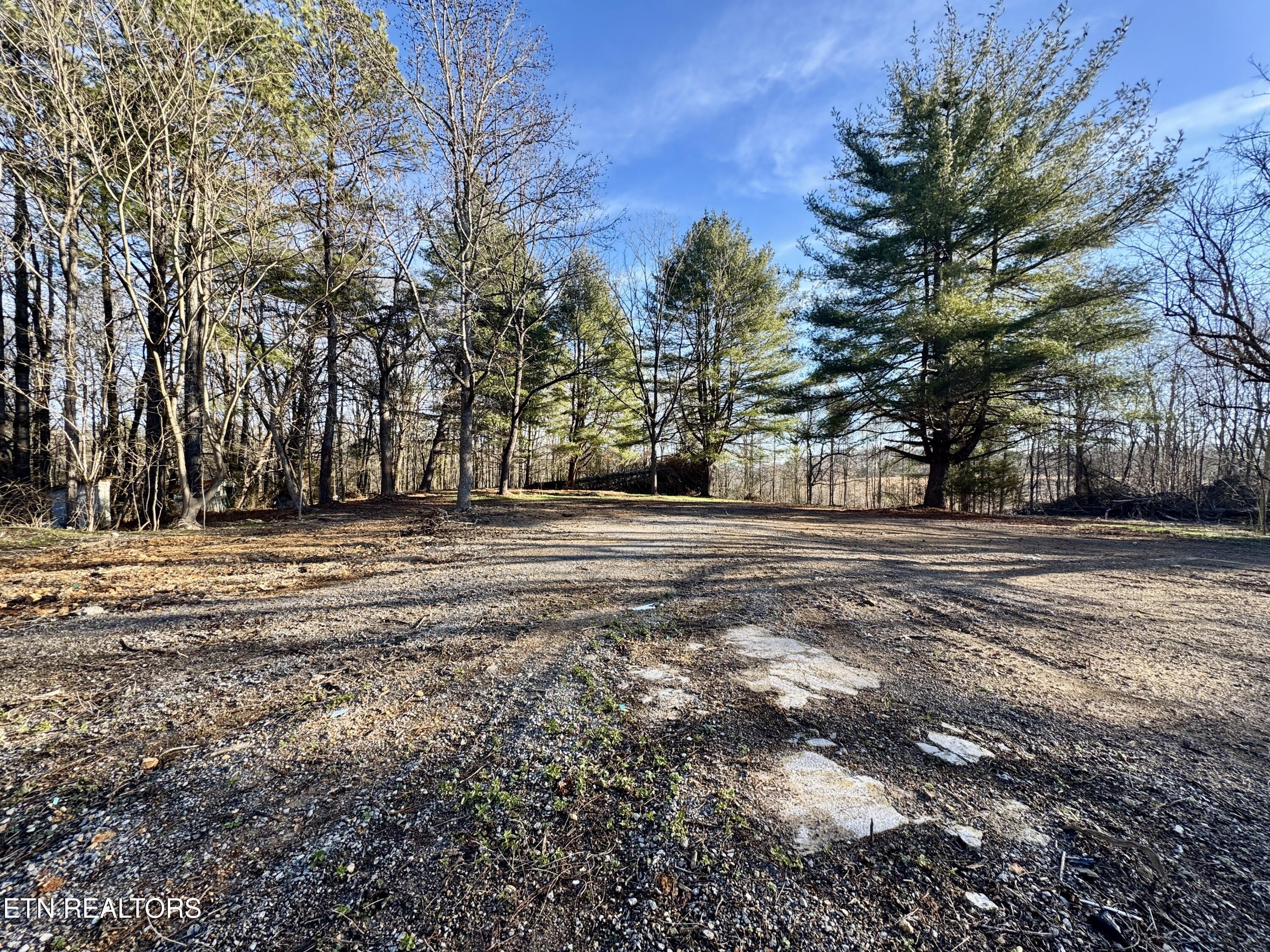 1265 Roberts Ridge Road Ten Mile, TN 37880 - Photo 7 of 43 7