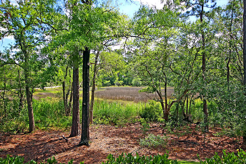 4103 Duck Club Road Ravenel, SC 29470 - Photo 41 of 57 IMG_0404-copy