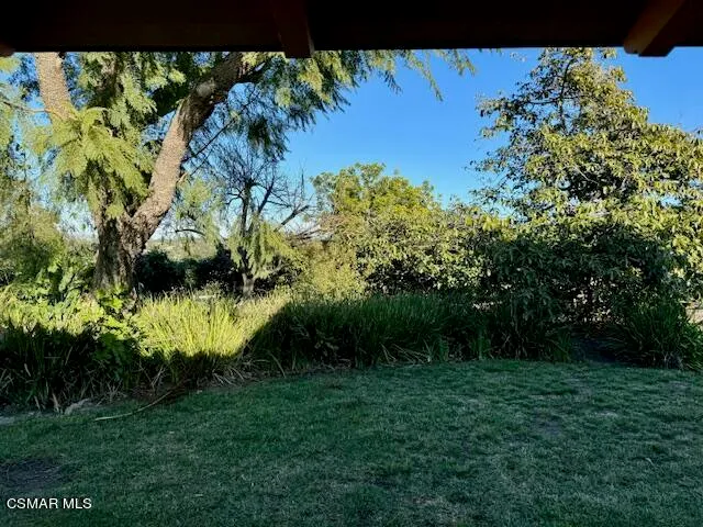 a view of road with trees