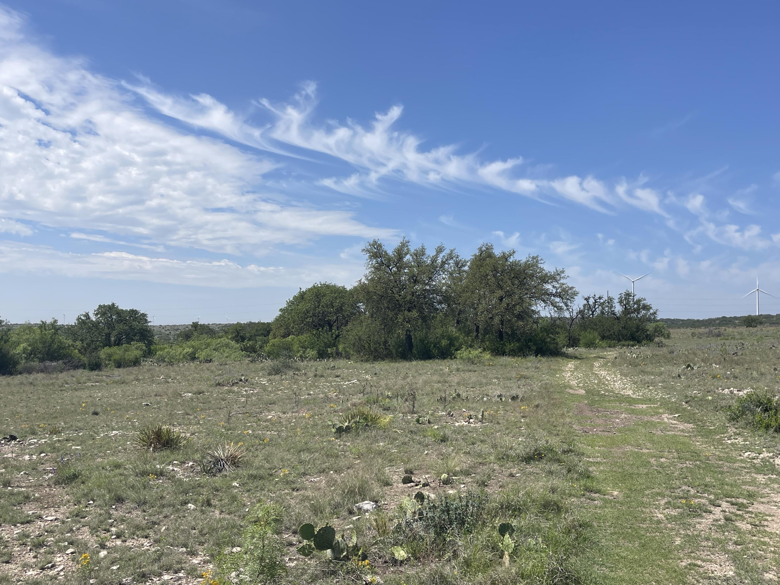 9534 Duff Road Christoval, TX 76935 - Photo 5 of 70 IMG_7001