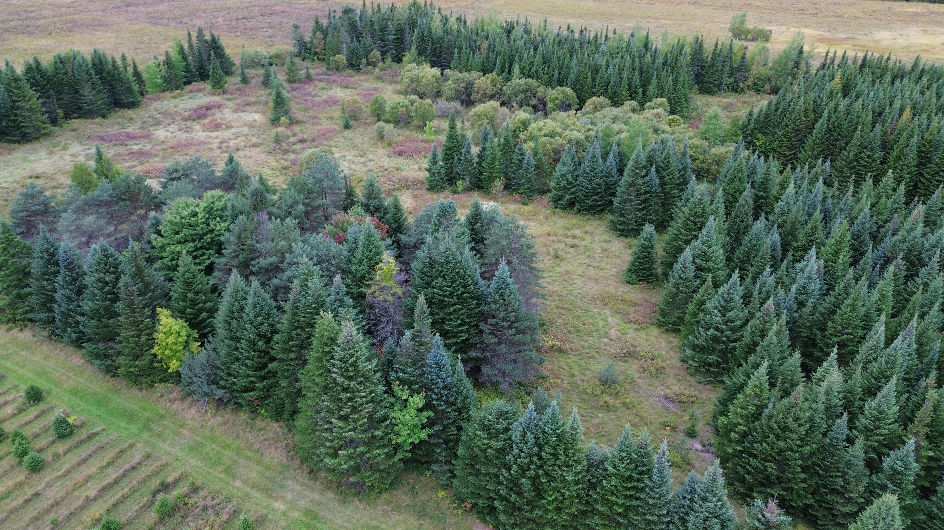 0 West Ridge Road Littleton, ME 04730 - Photo 25 of 25 DJI_0045