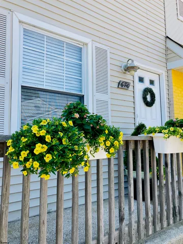 a plant that is in front of a house