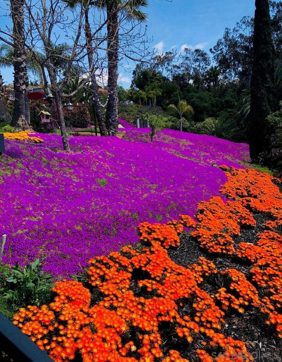 1033 Summit Trail Escondido, CA 92025 - Photo 18 of 73