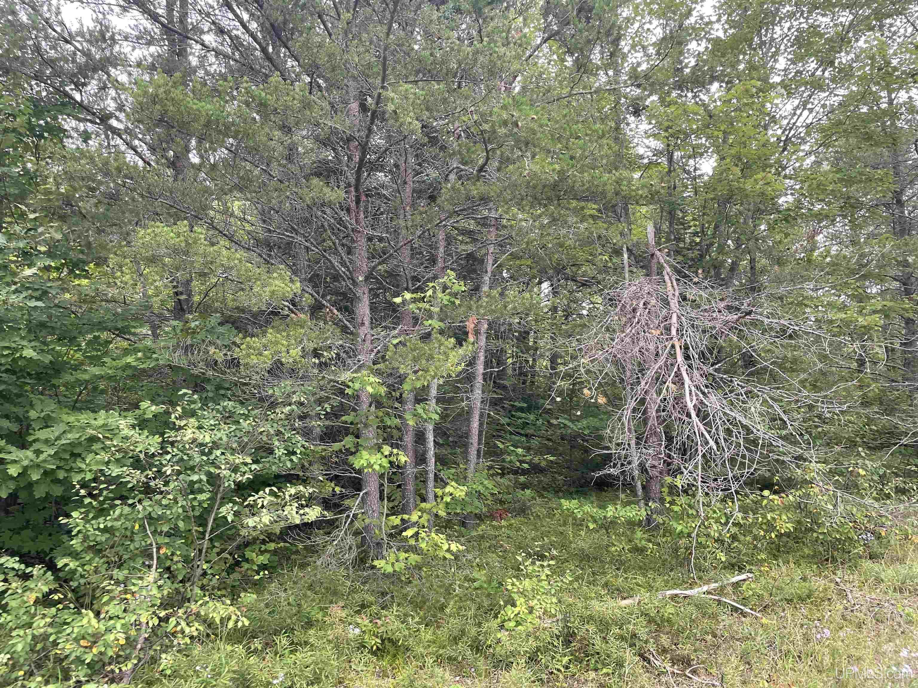 456 North Rd Little Lake Little Lake, MI 49833 - Photo 20 of 29