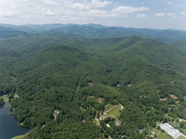 a view of a lush green forest with lush green forest