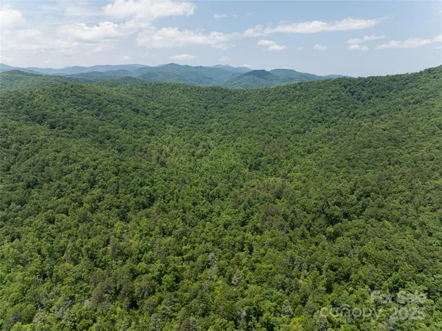 $9,800,000 | 1000 Sutton Creek Road, Pisgah Forest, NC 28768