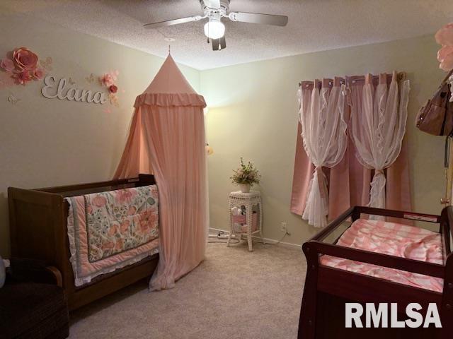 404 North Maple Street Christopher, IL 62822 - Photo 9 of 29