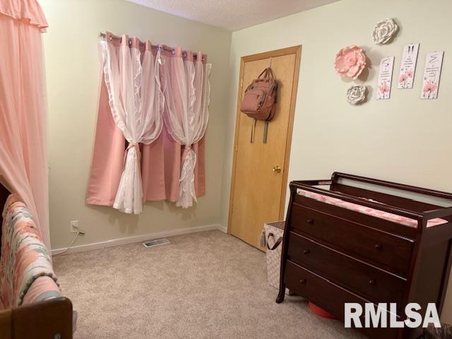 404 North Maple Street Christopher, IL 62822 - Photo 10 of 29