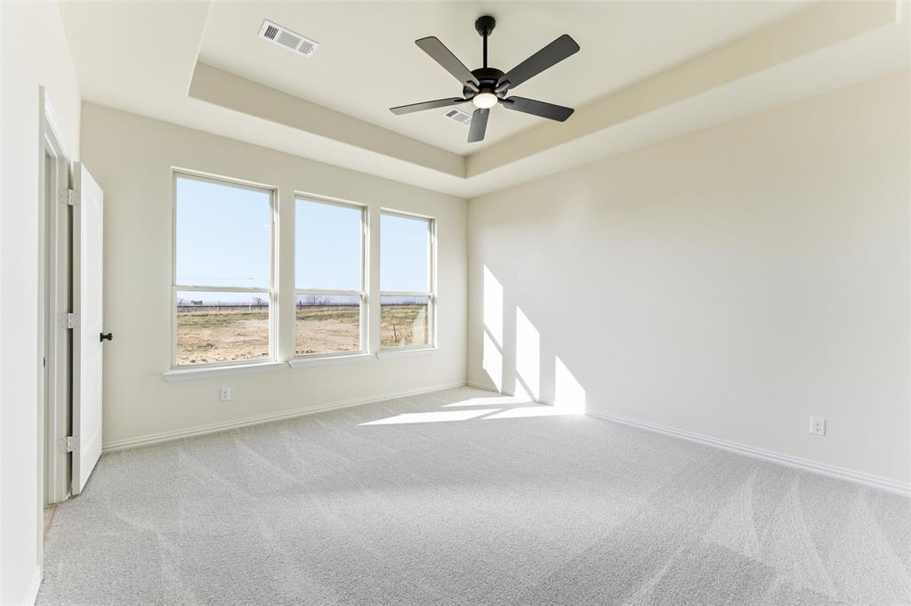 185 Brandywine Trail Rhome, TX 76078 - Photo 20 of 27 Spare room featuring a tray ceiling, light carpet, and a ceiling fan