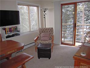 120 Sawmill Road, Unit 313 Breckenridge, CO 80424 - Photo 8 of 18 Gallery Image 8