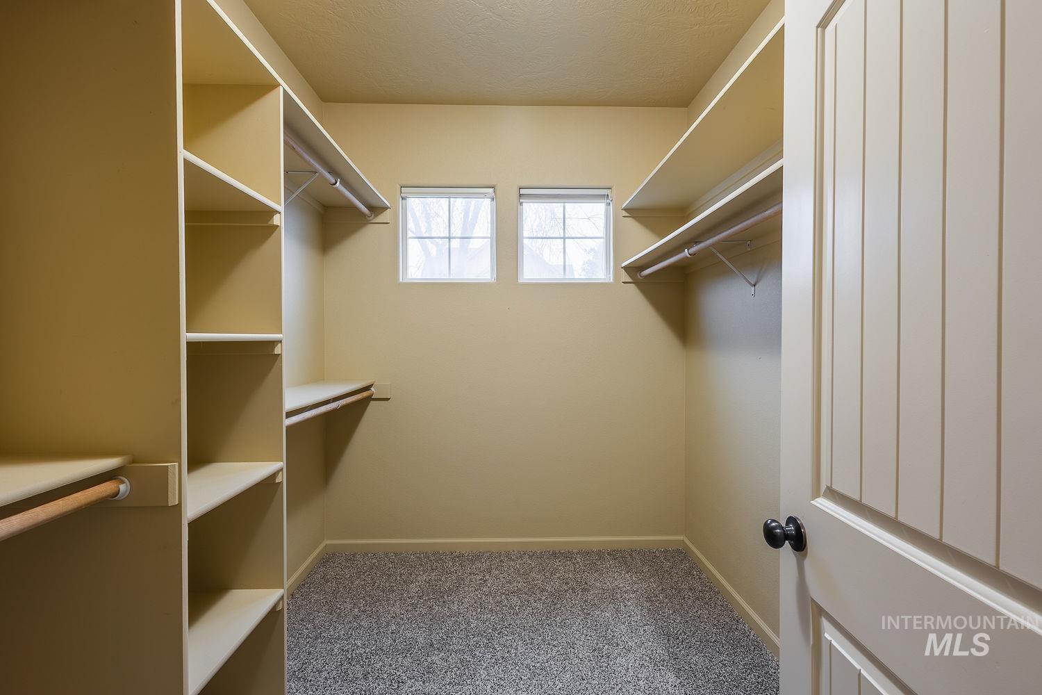 215 South Spring Lake Way Star, ID 83669 - Photo 21 of 50 Walk in closet featuring light colored carpet