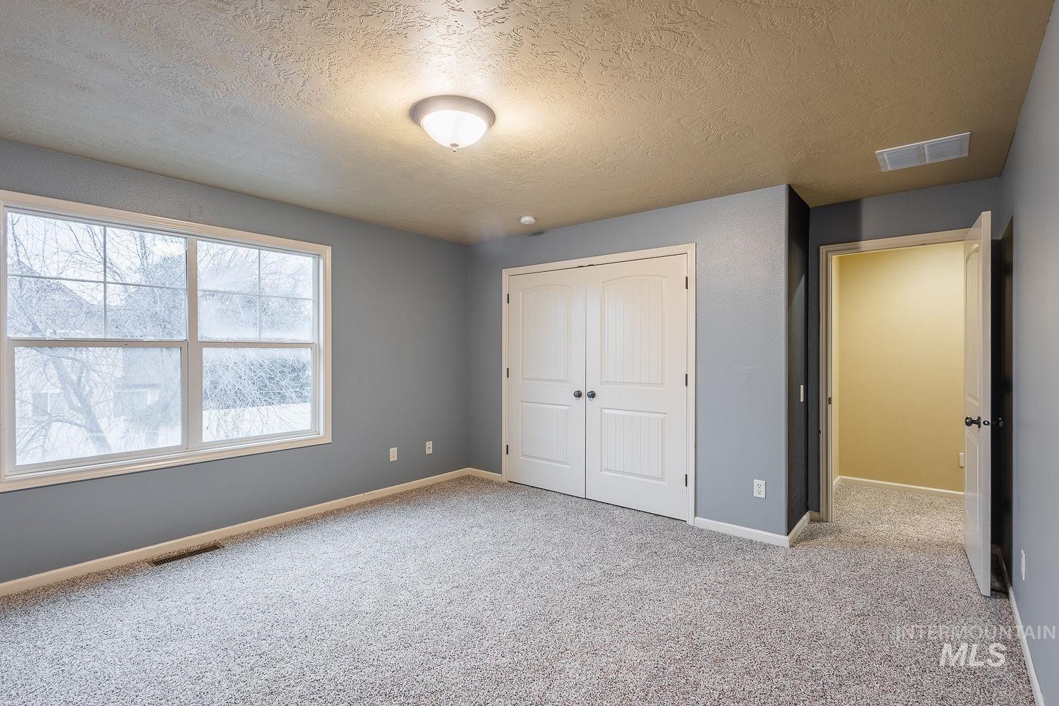 215 South Spring Lake Way Star, ID 83669 - Photo 27 of 50 Unfurnished bedroom with a textured ceiling, carpet, and a closet