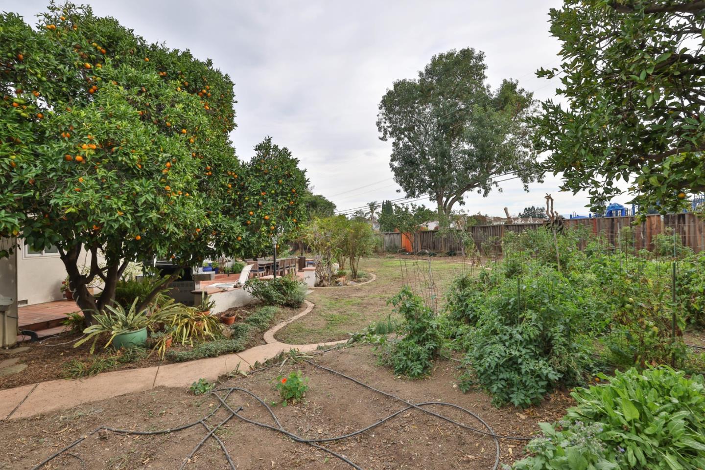 3772 Thrush Way Santa Clara, CA 95051 - Photo 21 of 21 a view of a park with large trees