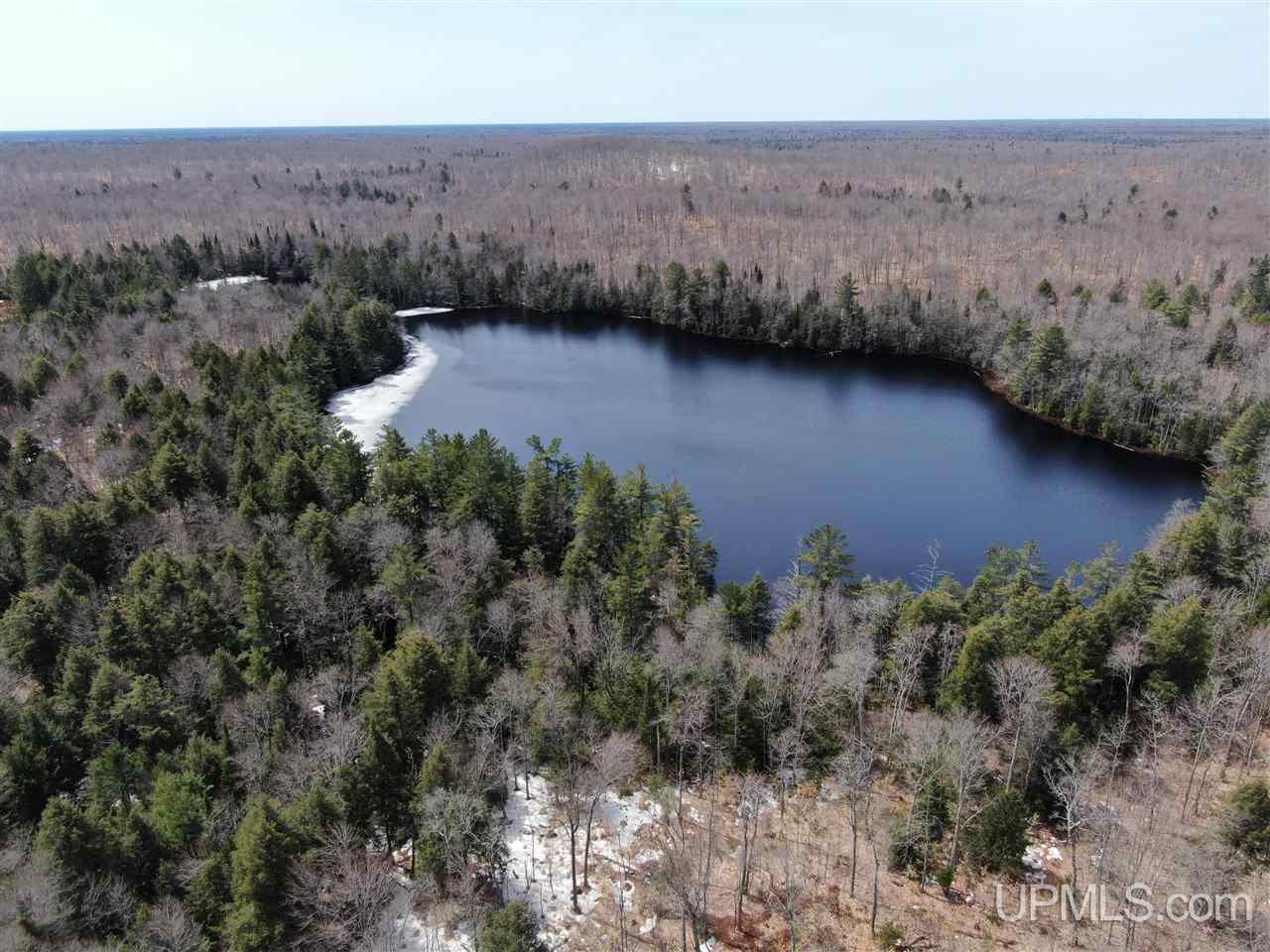 0 Old Seney Road Seney, MI 49883 - Photo 10 of 31