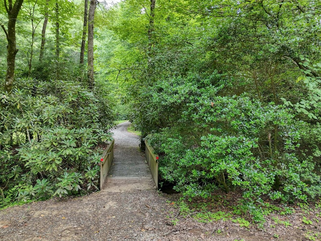 35 Adisi Ridge Murphy, NC 28906 - Photo 32 of 39 Gallery Image 32